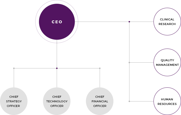 Olive Healthcare's organization chart